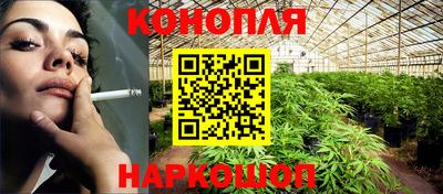 сатива Апшеронск